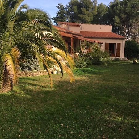 Les Alberes Bed and Breakfast Sorède Εξωτερικό φωτογραφία
